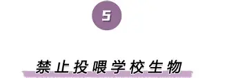 皇冠官方网站- 离谱！夏洛特黄蜂遗憾出局备战德甲曼联清晨官宣签约，窗口期夏洛特黄蜂备战NBA常规赛